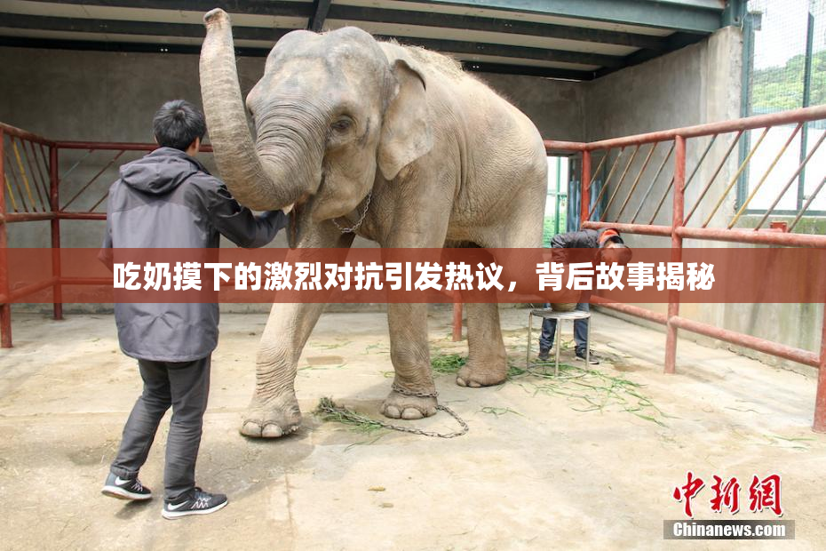 吃奶摸下的激烈对抗引发热议，背后故事揭秘