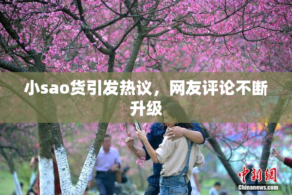 小sao货引发热议，网友评论不断升级