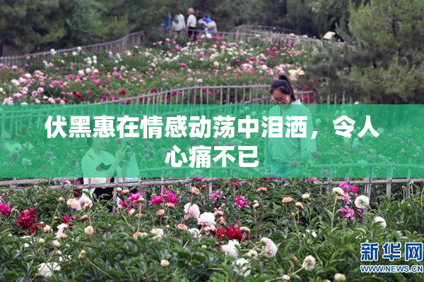伏黑惠在情感动荡中泪洒，令人心痛不已