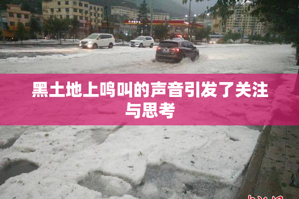 黑土地上鸣叫的声音引发了关注与思考