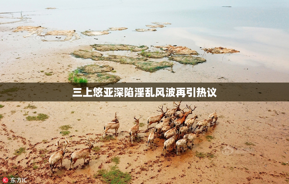 三上悠亚深陷淫乱风波再引热议