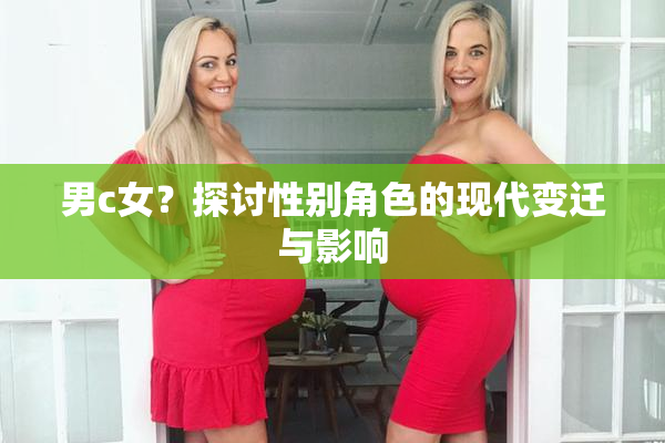 男c女？探讨性别角色的现代变迁与影响