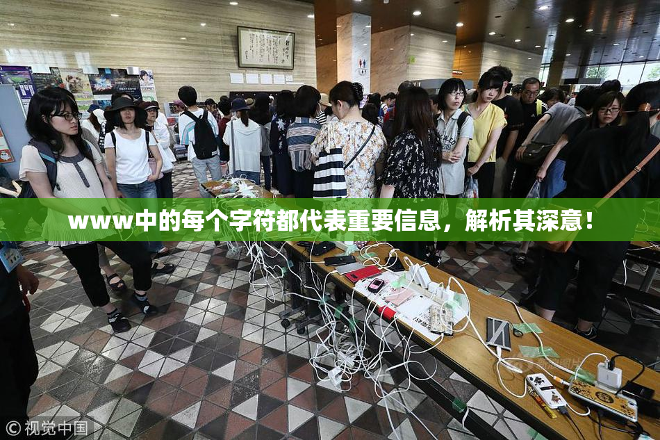 www中的每个字符都代表重要信息，解析其深意！