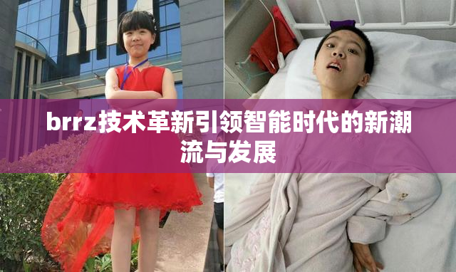 brrz技术革新引领智能时代的新潮流与发展