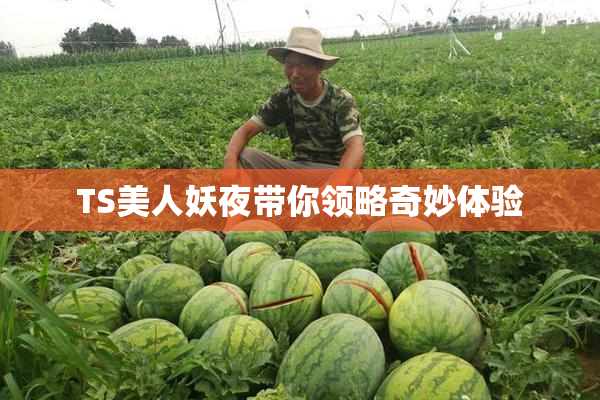 TS美人妖夜带你领略奇妙体验