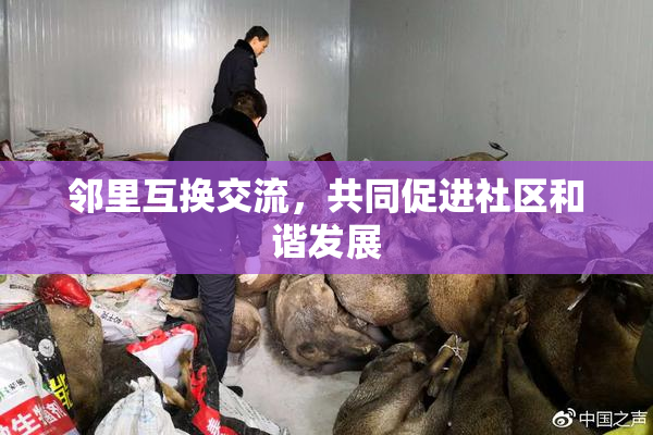 邻里互换交流，共同促进社区和谐发展