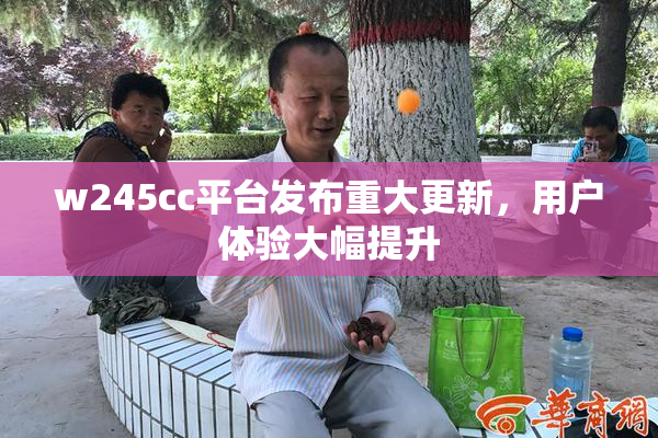 w245cc平台发布重大更新，用户体验大幅提升