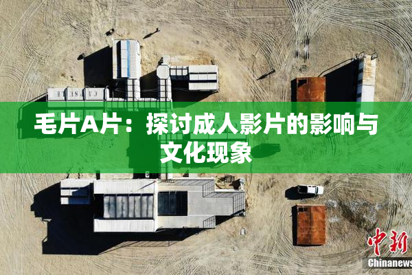毛片A片：探讨成人影片的影响与文化现象