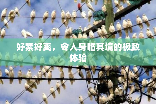 好紧好爽，令人身临其境的极致体验