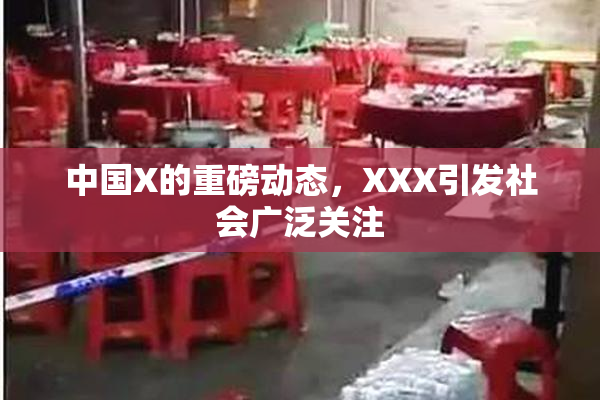 中国X的重磅动态，XXX引发社会广泛关注