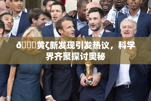 🔞黄ζ新发现引发热议，科学界齐聚探讨奥秘