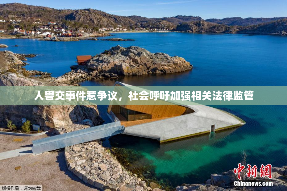 人兽交事件惹争议，社会呼吁加强相关法律监管