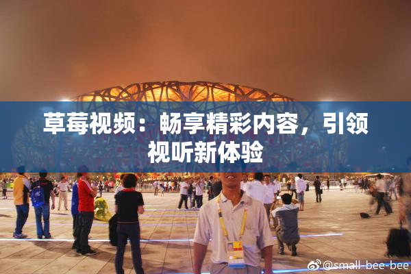 草莓视频：畅享精彩内容，引领视听新体验