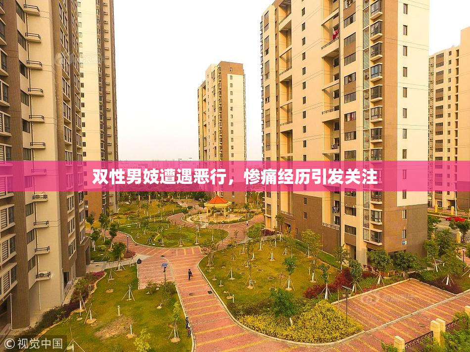 双性男妓遭遇恶行，惨痛经历引发关注