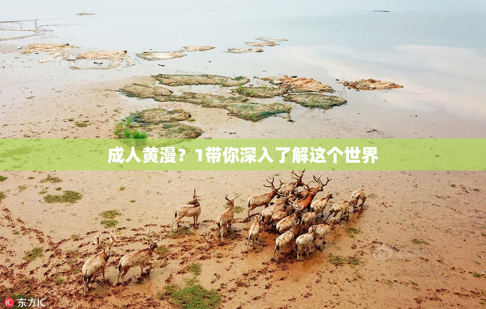 成人黄漫？1带你深入了解这个世界
