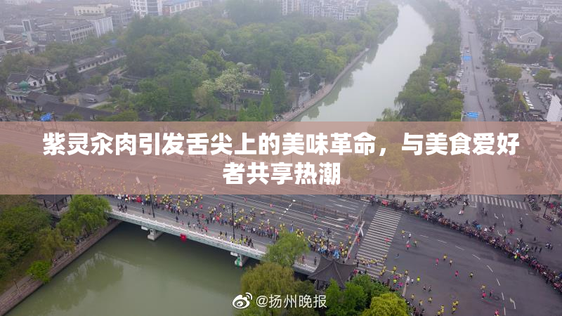 紫灵汆肉引发舌尖上的美味革命，与美食爱好者共享热潮