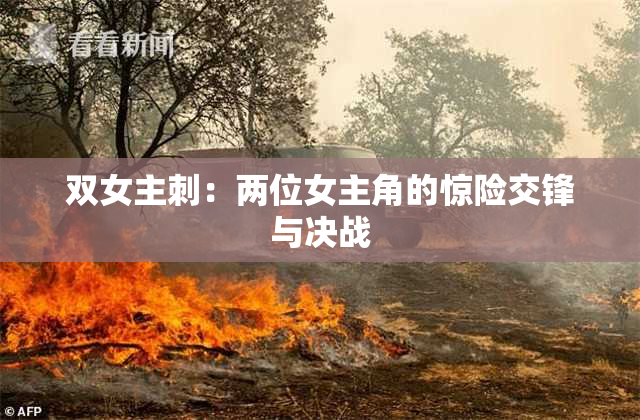 双女主刺：两位女主角的惊险交锋与决战