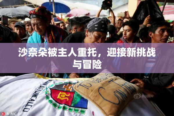 沙奈朵被主人重托，迎接新挑战与冒险