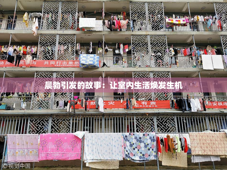晨勃引发的故事：让室内生活焕发生机
