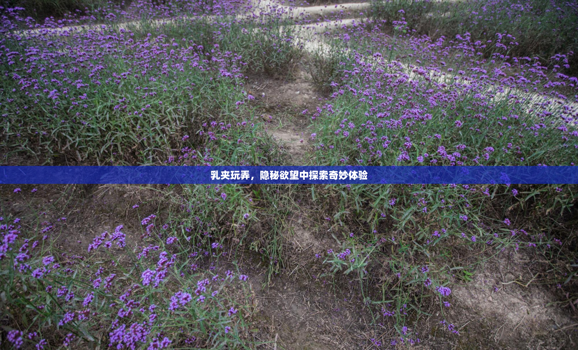 乳夹玩弄，隐秘欲望中探索奇妙体验
