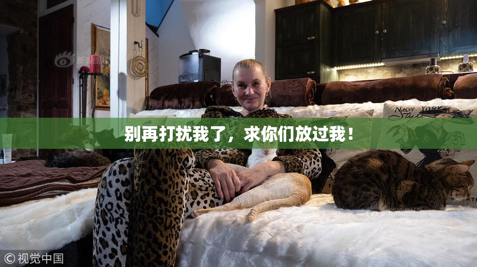 别再打扰我了，求你们放过我！