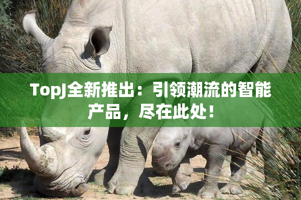 TopJ全新推出：引领潮流的智能产品，尽在此处！