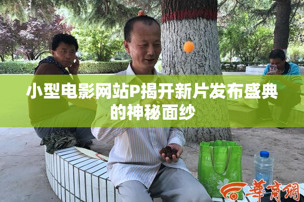 小型电影网站P揭开新片发布盛典的神秘面纱