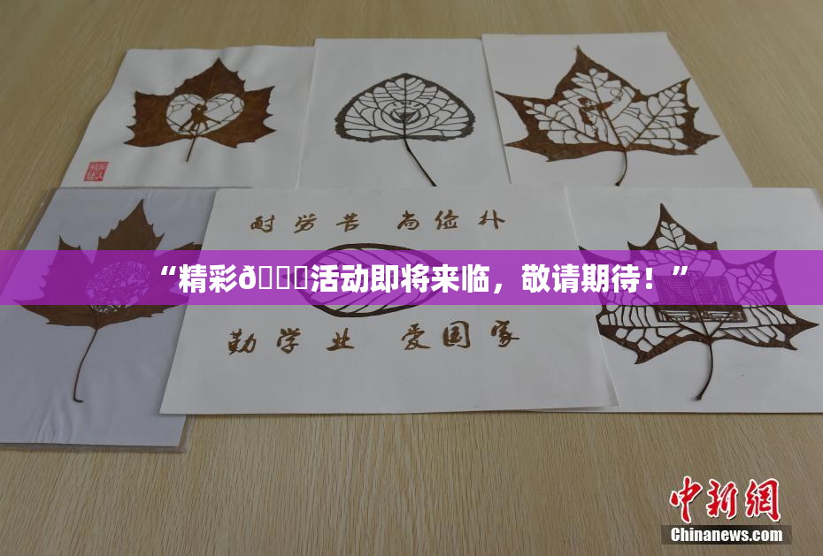 “精彩🈚活动即将来临，敬请期待！”