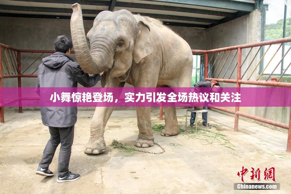 小舞惊艳登场，实力引发全场热议和关注