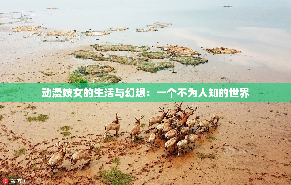 动漫妓女的生活与幻想：一个不为人知的世界
