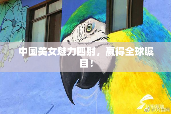中国美女魅力四射，赢得全球瞩目！