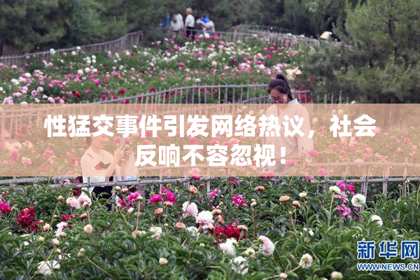 性猛交事件引发网络热议，社会反响不容忽视！