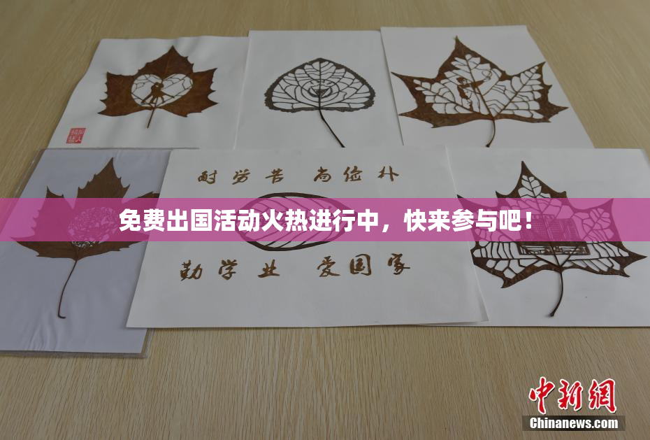 免费出国活动火热进行中，快来参与吧！