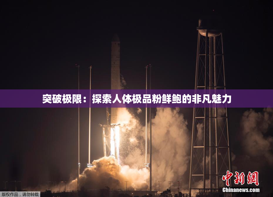 突破极限：探索人体极品粉鲜鲍的非凡魅力