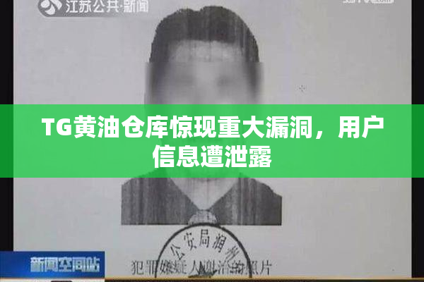 TG黄油仓库惊现重大漏洞，用户信息遭泄露