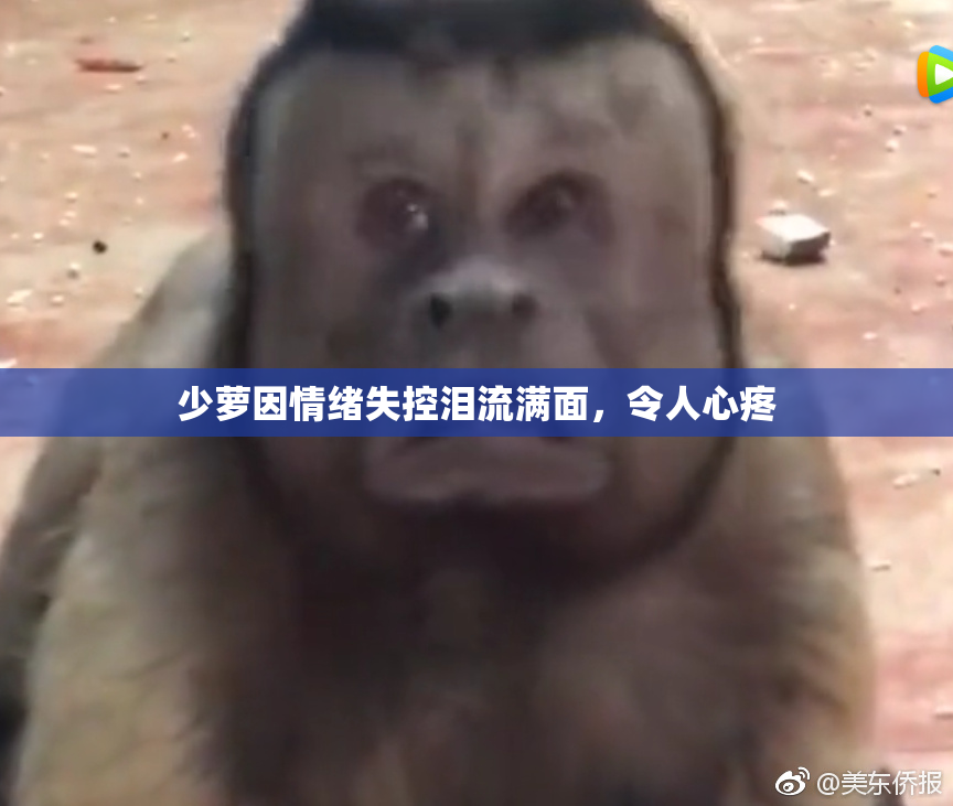 少萝因情绪失控泪流满面，令人心疼