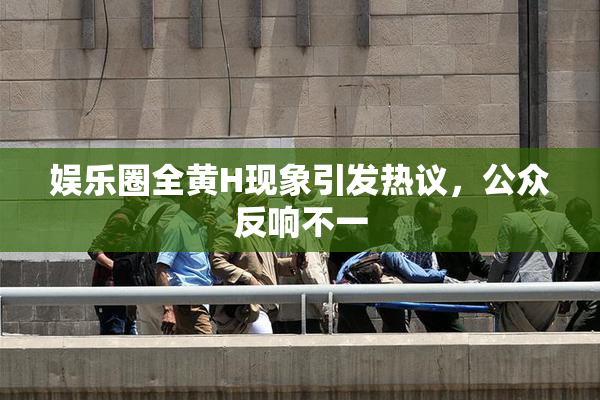 娱乐圈全黄H现象引发热议，公众反响不一