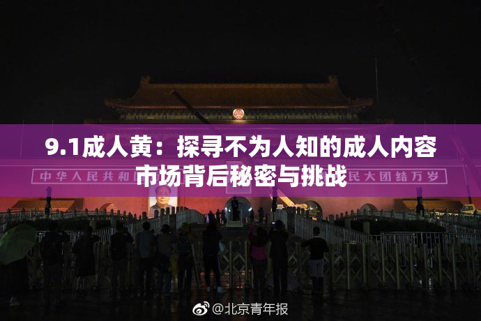 9.1成人黄：探寻不为人知的成人内容市场背后秘密与挑战