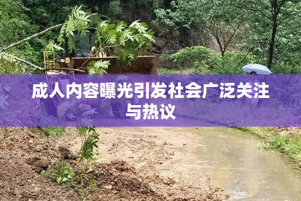 成人内容曝光引发社会广泛关注与热议