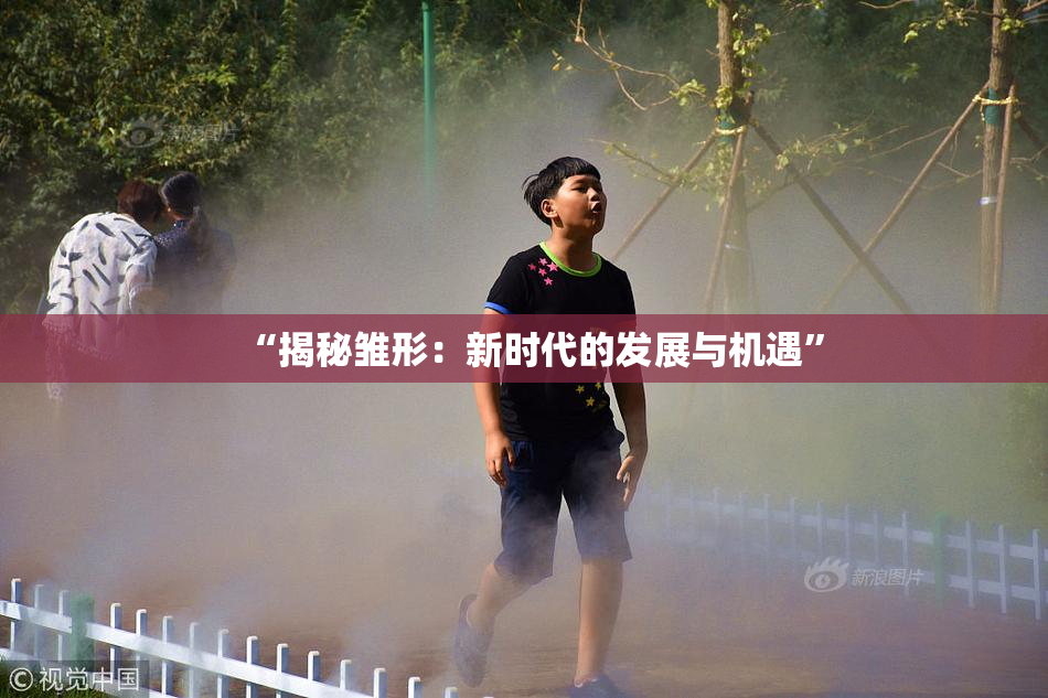“揭秘雏形：新时代的发展与机遇”