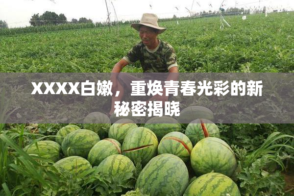 XXXX白嫩，重焕青春光彩的新秘密揭晓