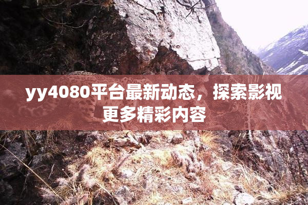 yy4080平台最新动态，探索影视更多精彩内容