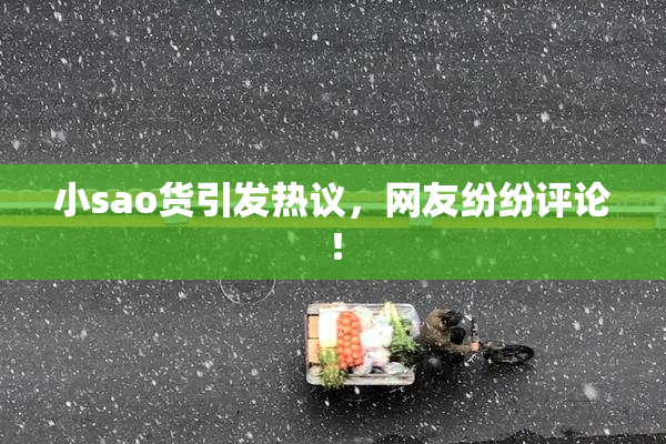 小sao货引发热议，网友纷纷评论！