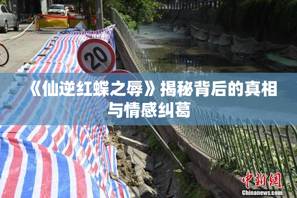《仙逆红蝶之辱》揭秘背后的真相与情感纠葛
