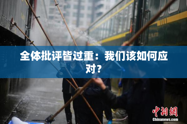 全体批评皆过重：我们该如何应对？