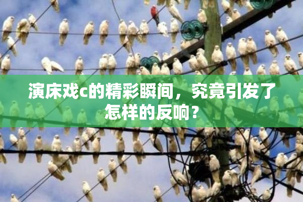 演床戏c的精彩瞬间，究竟引发了怎样的反响？