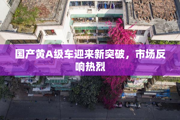 国产黄A级车迎来新突破，市场反响热烈