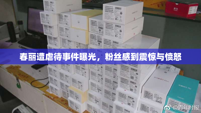 春丽遭虐待事件曝光，粉丝感到震惊与愤怒