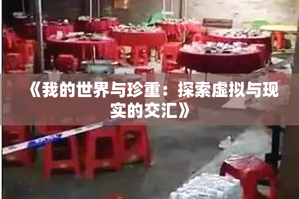 《我的世界与珍重：探索虚拟与现实的交汇》