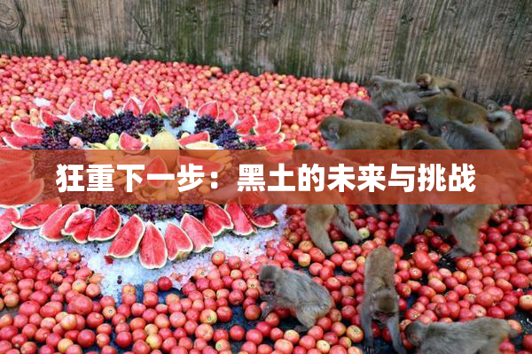 狂重下一步：黑土的未来与挑战